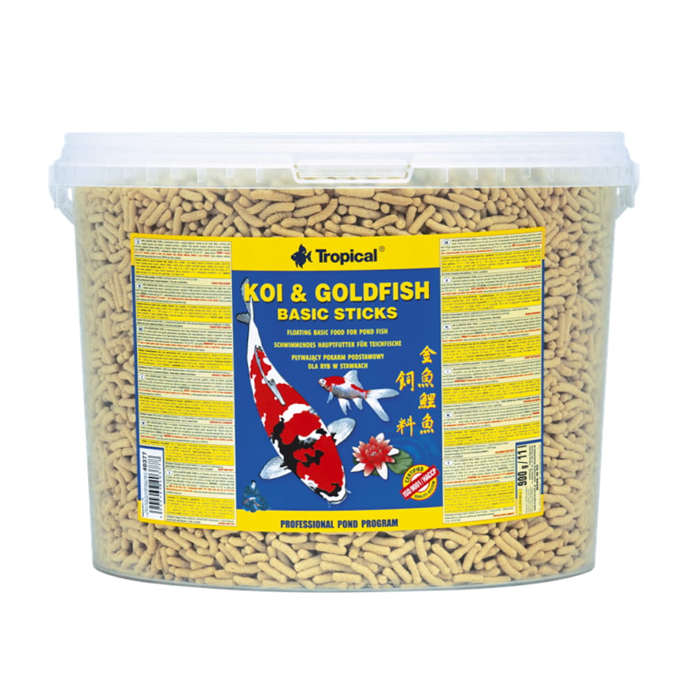 koi goldfish basic sticks 11w.jpg
